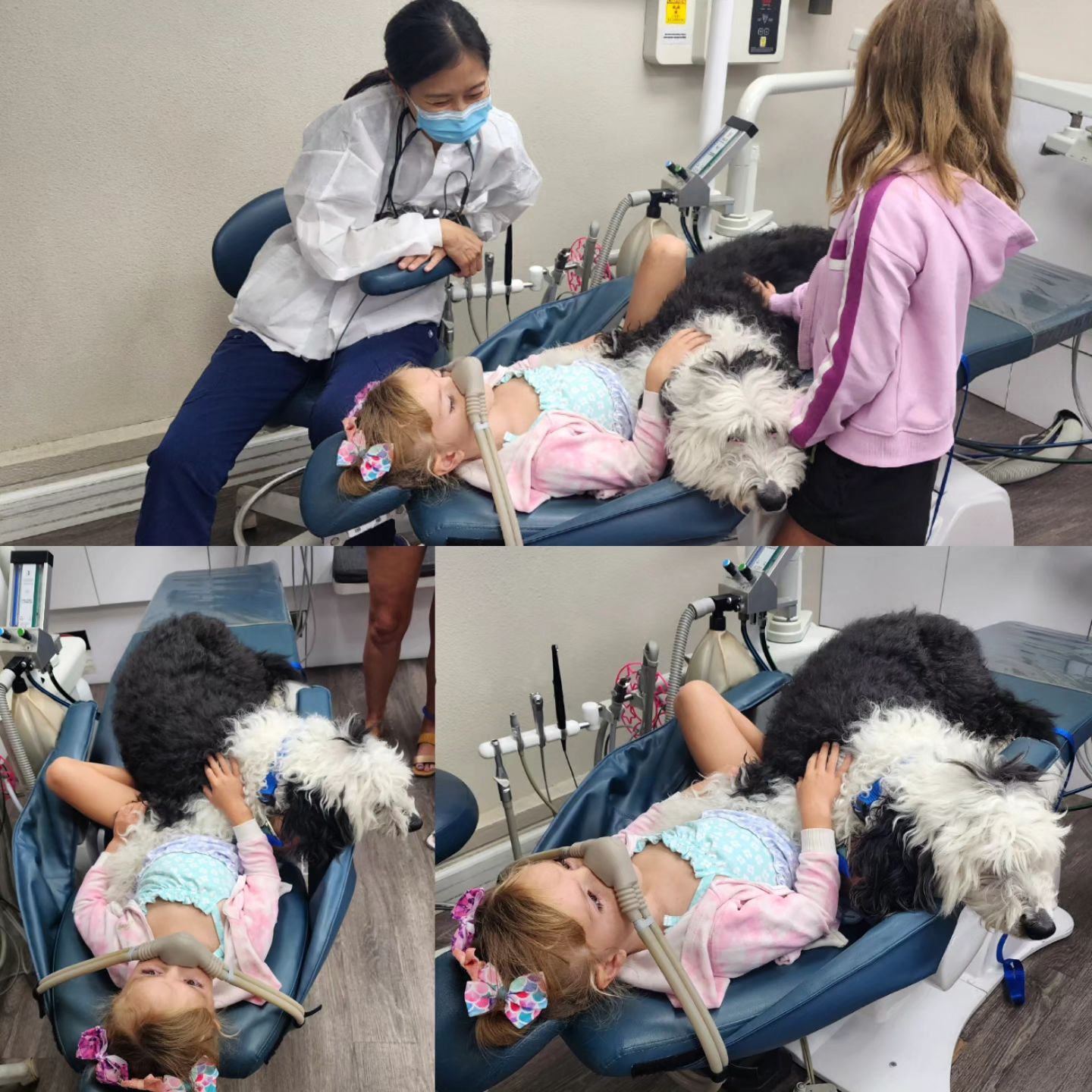 Ripley the therapy dog comforting a young patient in the dental chair